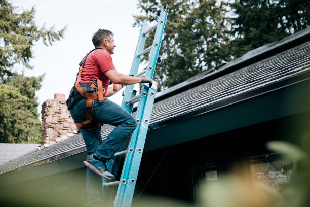 Best Skylights  in Mccaysville, GA